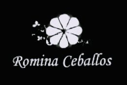 Romina Ceballos - Tienda online